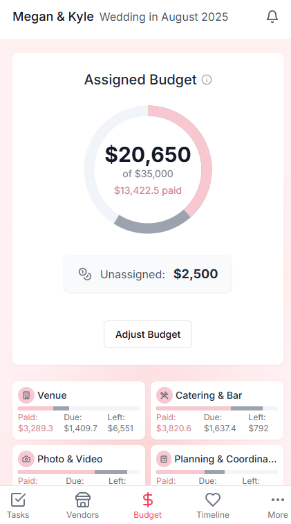 Budget tracking interface